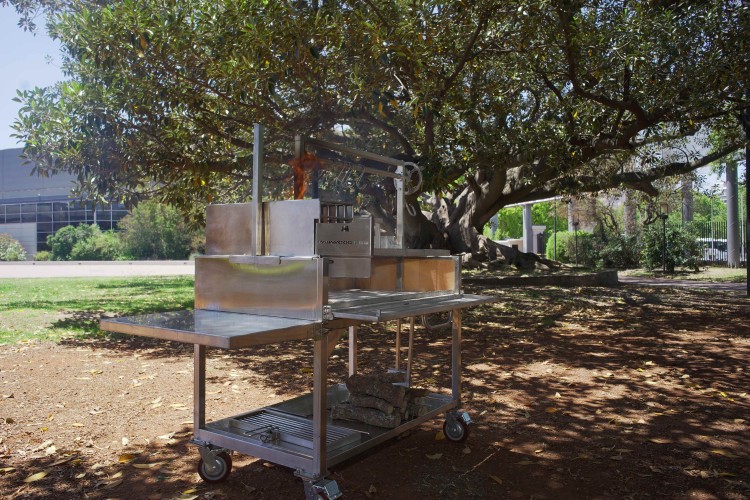 TAGWOOD BBQ23SS 4.jpg